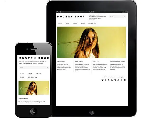 Dessign Modern Shop WooCommerce Themes