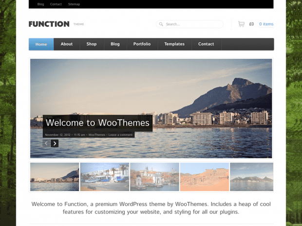 WooThemes Function WooCommerce Themes