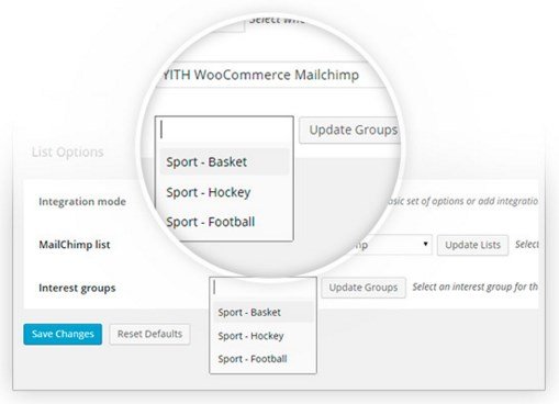 YITH WooCommerce Mailchimp Premium