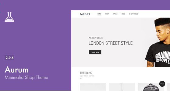 Aurum - Minimalist Shopping Theme