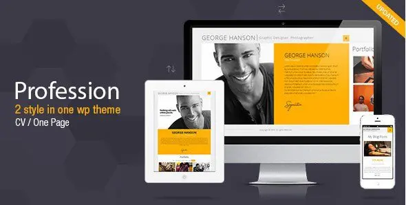 Profession - One Page CV Resume Theme