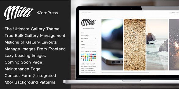 Milli - The Ultimate Photo Gallery WordPress Theme