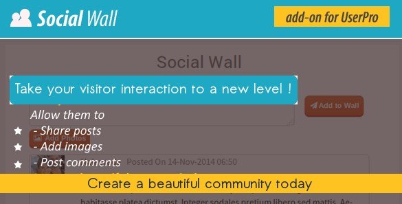 Social Wall Addon for UserPro