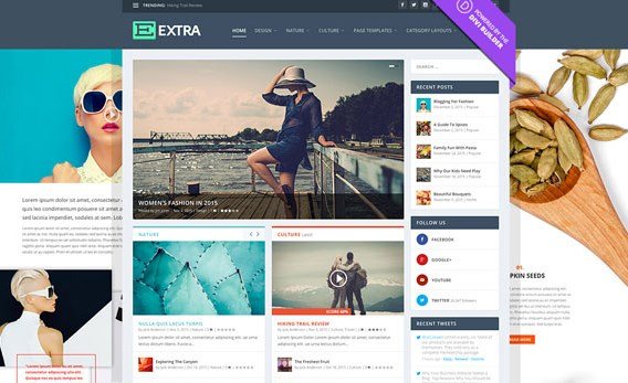 Elegant Themes Extra WordPress Theme 4.25.2