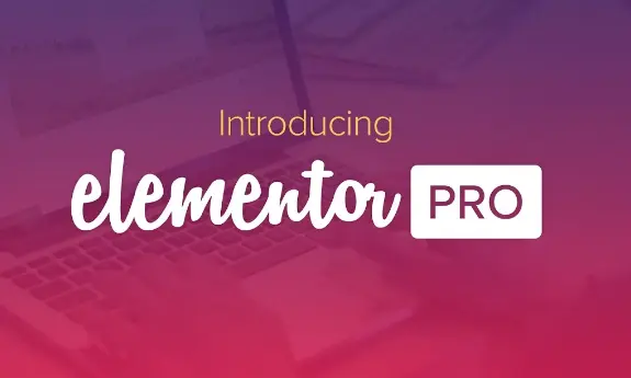 Elementor Pro WordPress Plugin