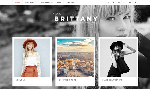 CSS Igniter Brittany WordPress Theme