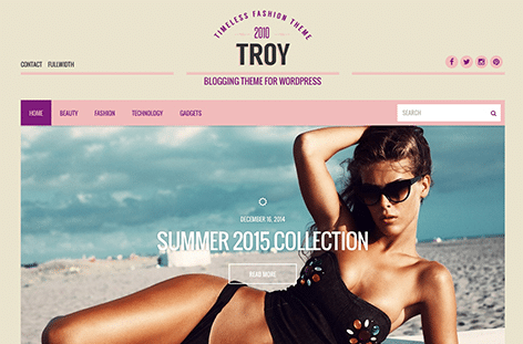 CSS Igniter Troy WordPress Theme