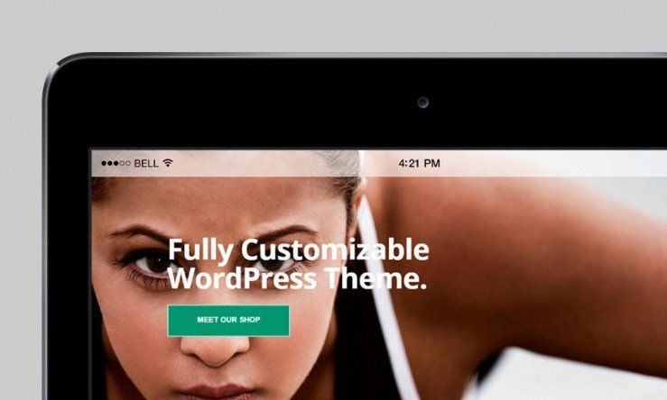 VisualModo Gym WordPress Theme