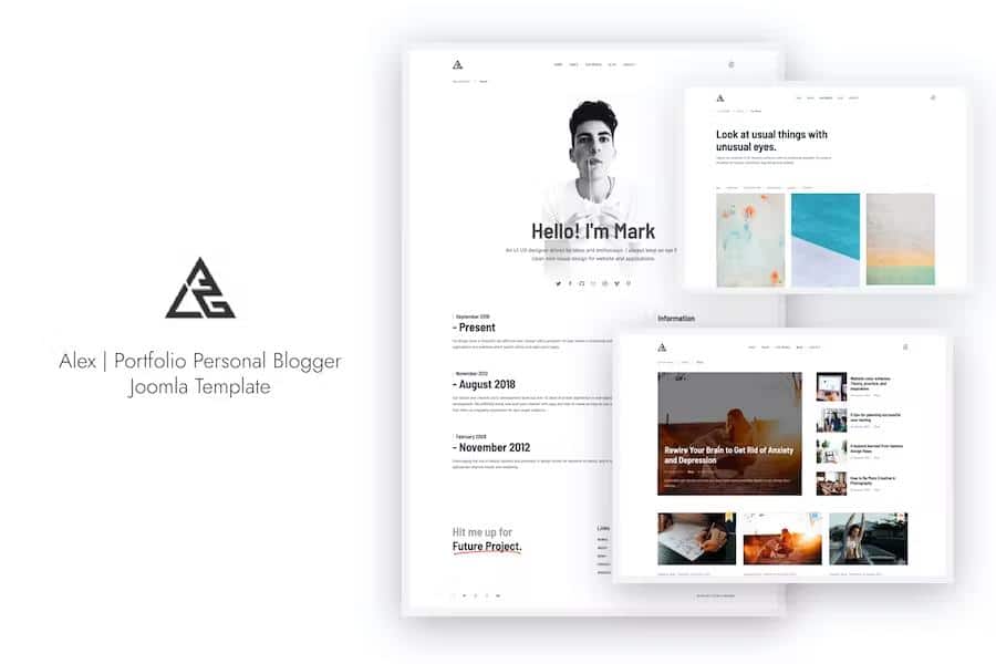 Alex – Portfolio Personal Blogger Joomla 4 Template Latest Version