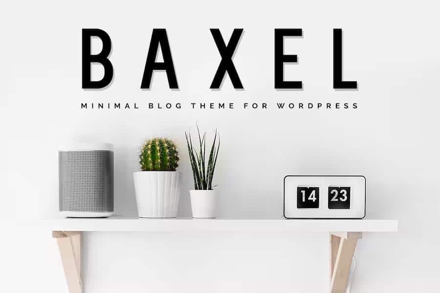 Baxel – Minimal Blog Theme for WordPress 5.0.4