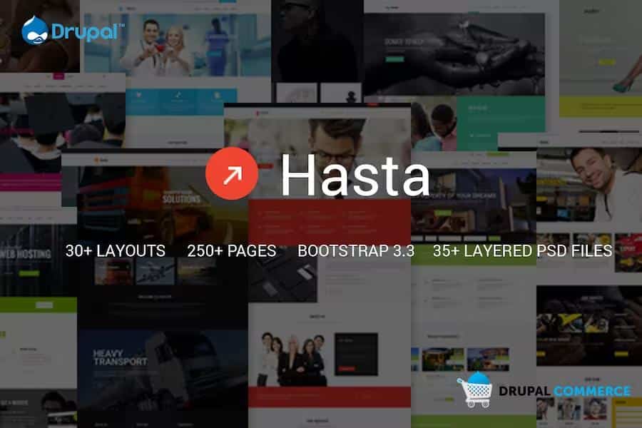 Hasta – Multipurpose Responsive Commerce Theme Latest Version