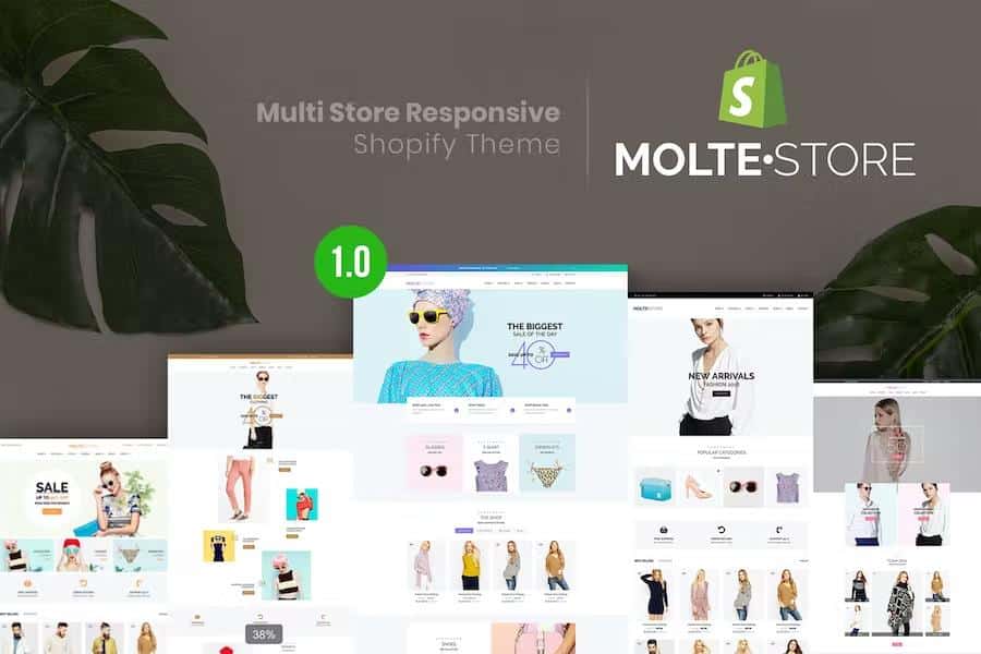 MolteStore – Multi Store Responsive Shopify Theme Latest Version