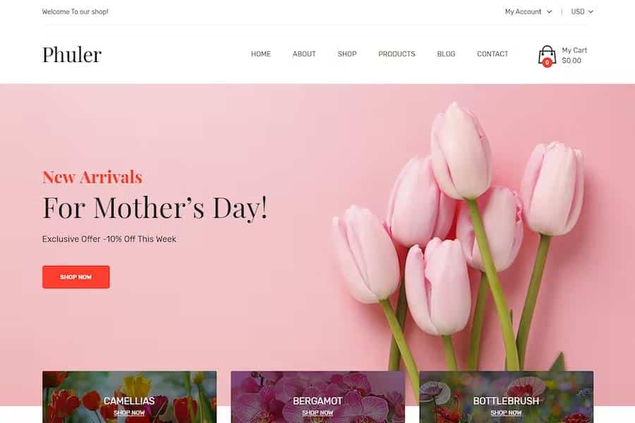 Phuler – Flower Shop Shopify Theme Latest Version