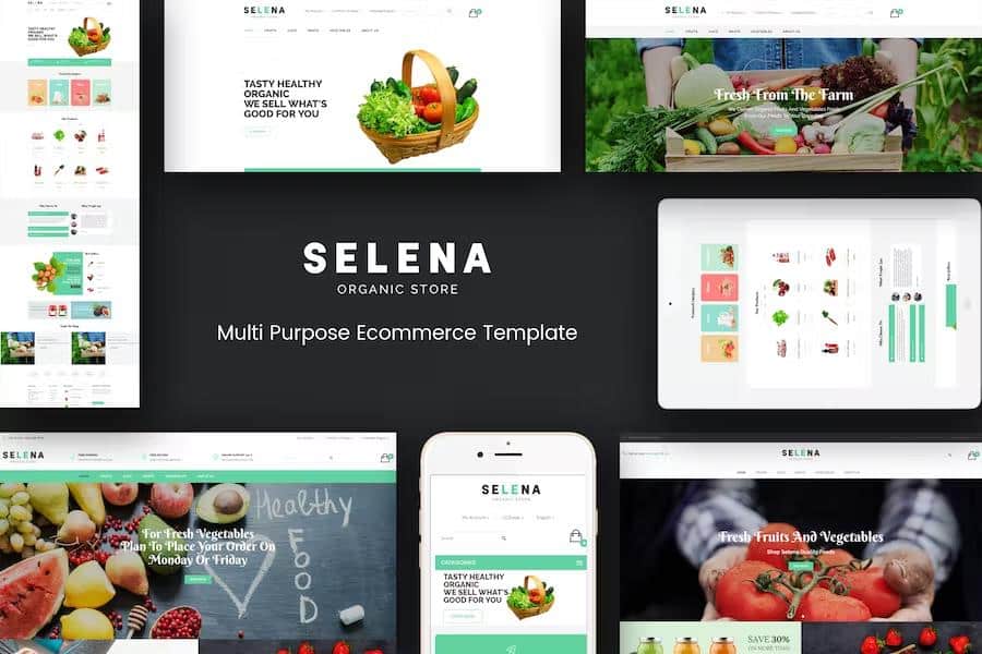 Selena – Organic Responsive Magento Theme Latest Version