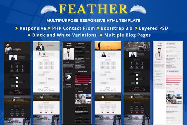 FEATHER – Multipurpose Responsive Landing Pages Latest Version