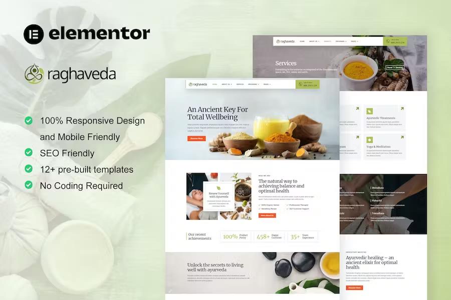 Raghaveda – Ayurveda Treatment & Spa Elementor Template Kit Latest Version