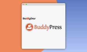 BuddyDev-BuddyPress-7