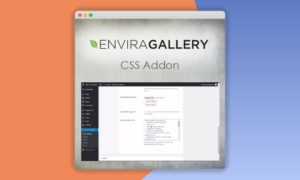 Envira-Gallery-CSS-Addon