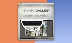 Envira-Gallery-Deeplinking-Addon