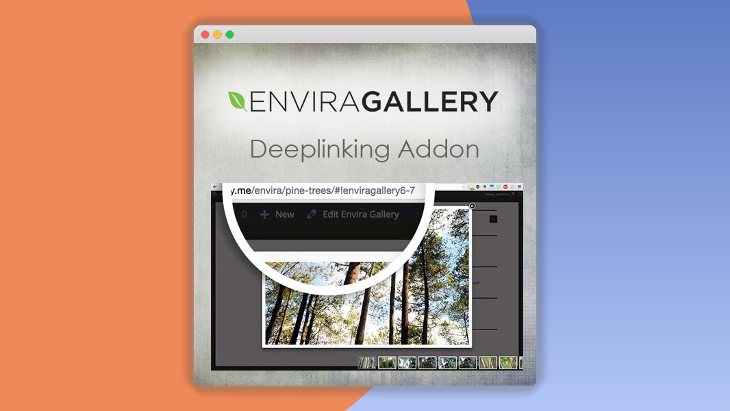 Envira Gallery – Deeplinking Addon 1.5.3