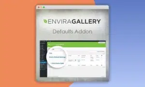 Envira-Gallery-Defaults-Addon