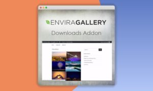 Envira-Gallery-Downloads-Addon