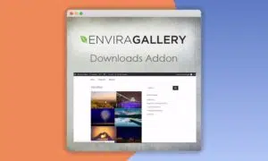 Envira-Gallery-Downloads-Addon