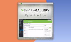 Envira-Gallery-Dynamic-Addon