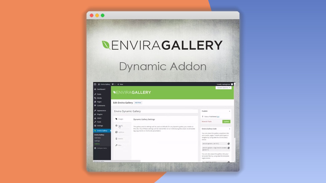 Envira Gallery – Dynamic Addon 1.6.7