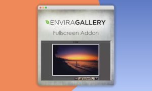 Envira-Gallery-Fullscreen-Addon