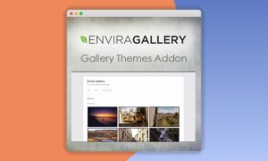 Envira-Gallery-Gallery-Themes-Addon