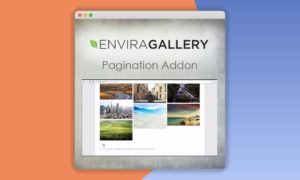 Envira-Gallery-Pagination-Addon