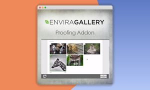 Envira-Gallery-Proofing-Addon