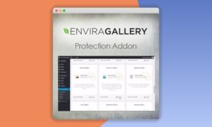 Envira-Gallery-Protection-Addon