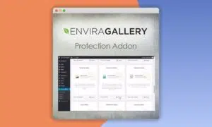 Envira-Gallery-Protection-Addon