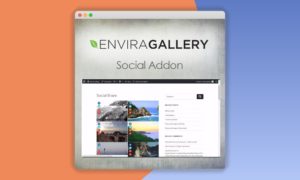 Envira-Gallery-Social-Addon