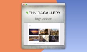 Envira-Gallery-Tags-Addon