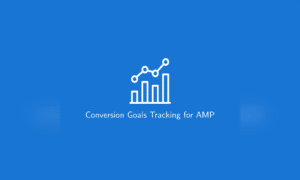 Conversion Goals Tracking for AMP