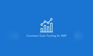 Conversion Goals Tracking for AMP