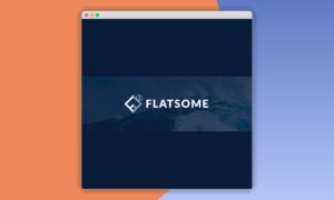 searchwp-flatsome