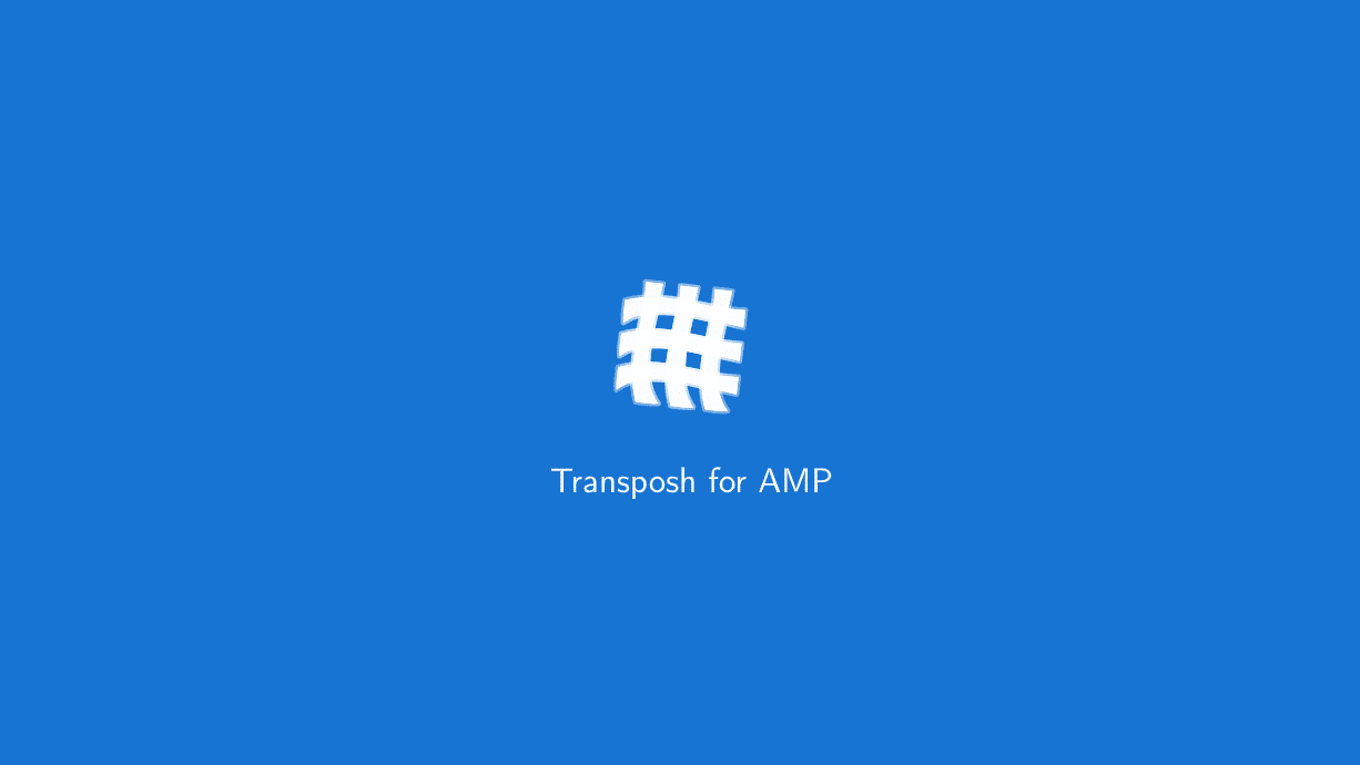Transposh for AMP 1.0