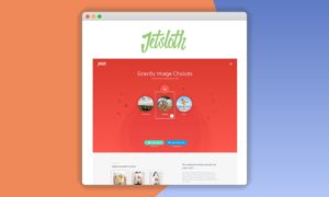 Jetsloth-Gravity-Forms-Image-Choices