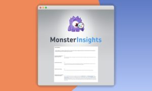 MonsterInsights-EU-Compliance-Addon