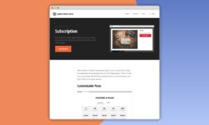 graph-paper-press-sell-media-subscription