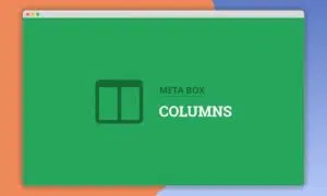 meta-box-Columns-991x592-1