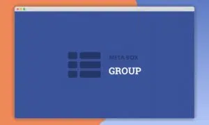 meta-box-Group-991x592-1