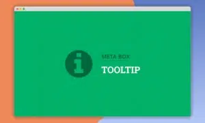 meta-box-Tooltip-991x592-1