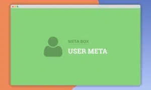 meta-box-User-Meta-991x592-1