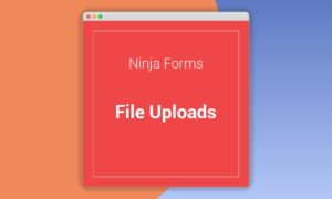 ninja-forms-file-uploads