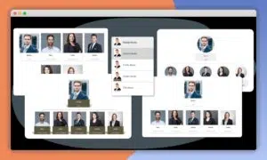 wp-team-display